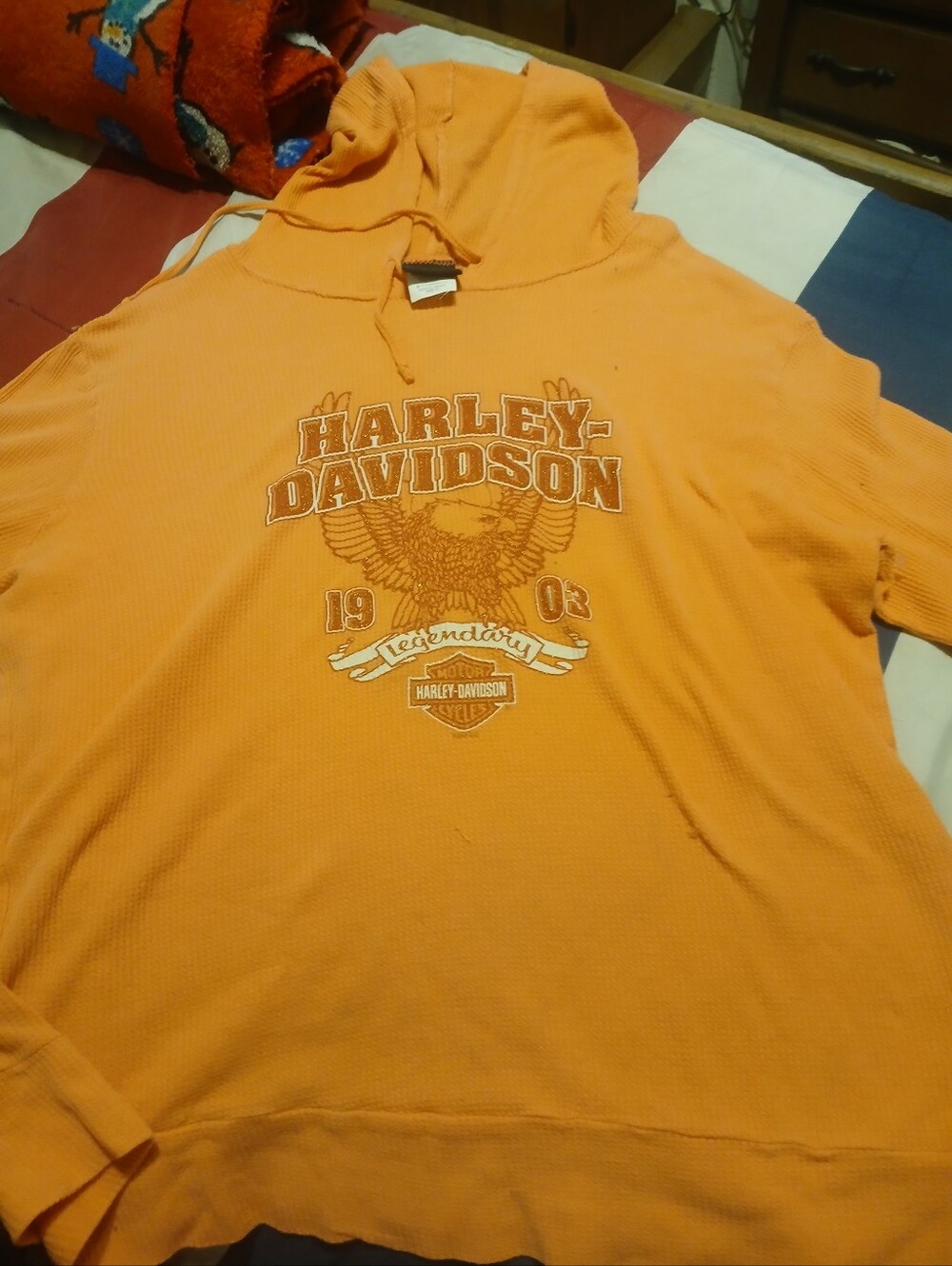 Harley-Davidson Orange Hooded Sweatshirt with Eagle Graphic